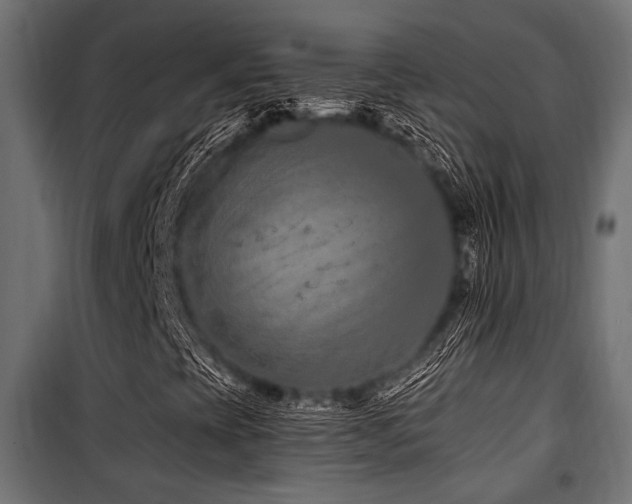 X0000100751393200806191132