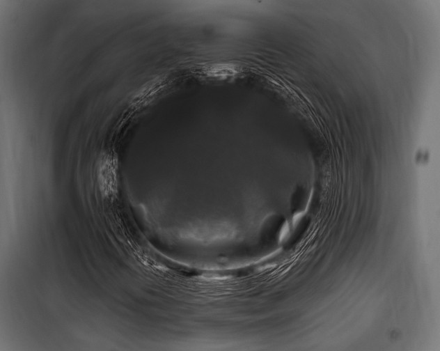 X0000100751394200806191132