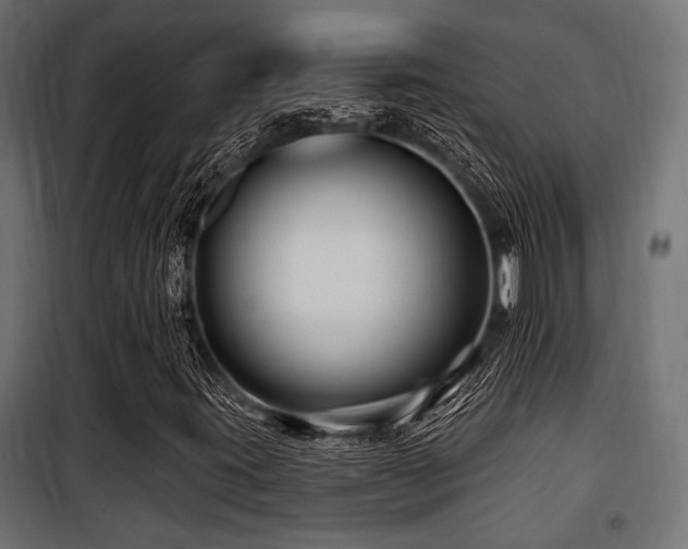 X0000100751395200806191132