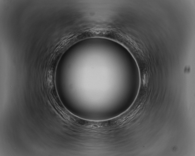 X0000100751396200806191132