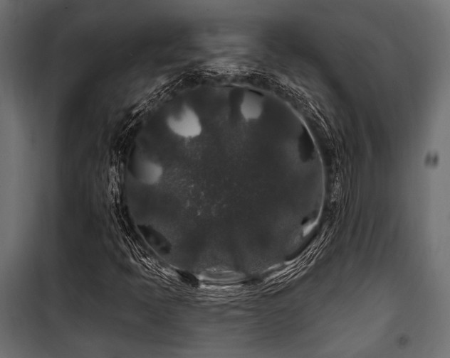 X0000100751397200806191132