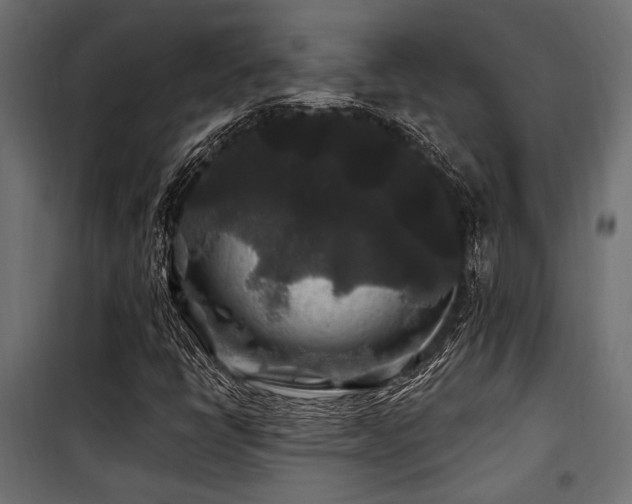 X0000100751398200806191132