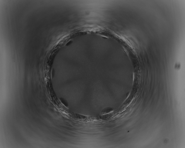 X0000100751399200806191132