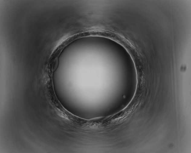 X0000100751400200806191132