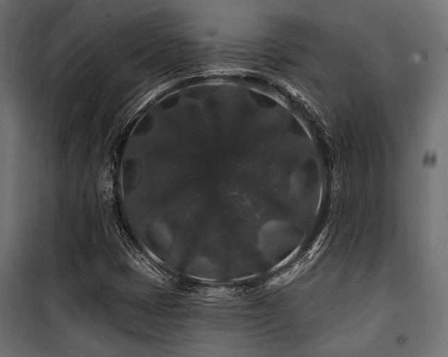 X0000100751401200806191132