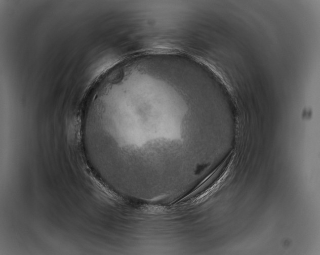 X0000100751402200806191132