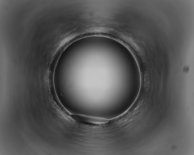 X0000100751404200806191132