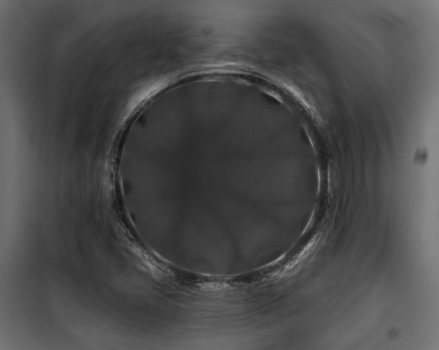 X0000100751405200806191132