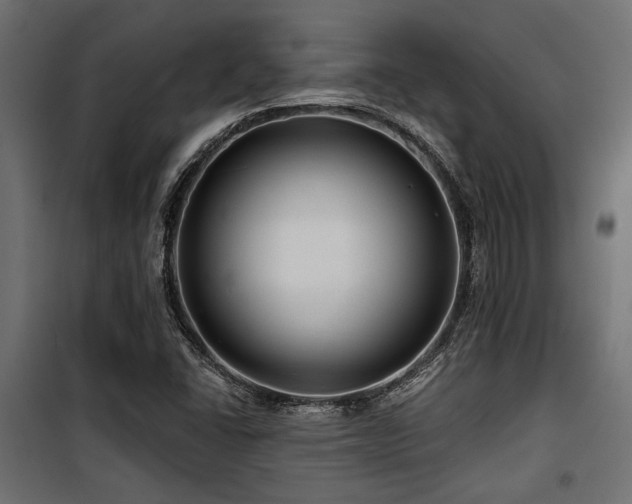 X0000100751406200806191132