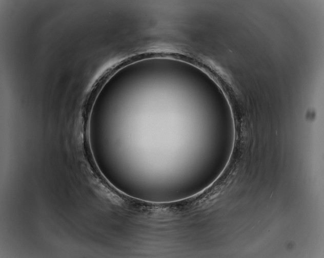 X0000100751408200806191132