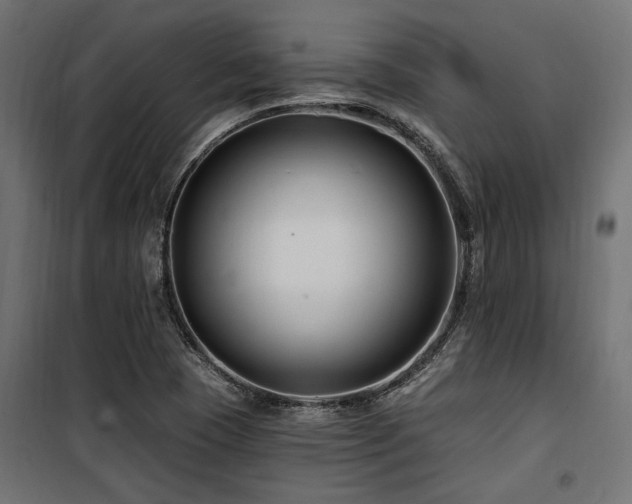 X0000100751409200806191132