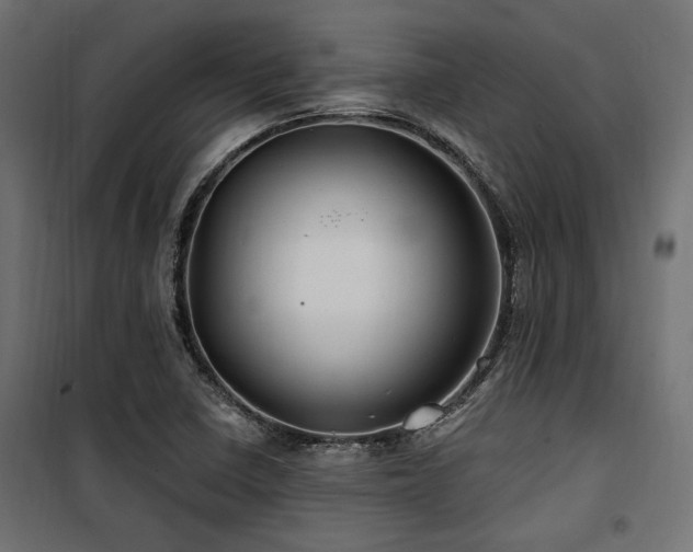 X0000100751410200806191132