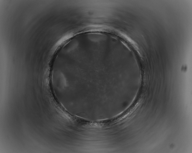 X0000100751411200806191132