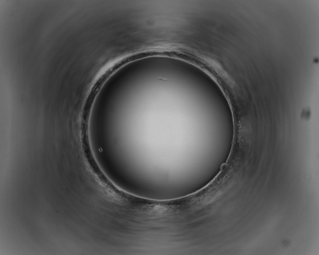 X0000100751412200806191133