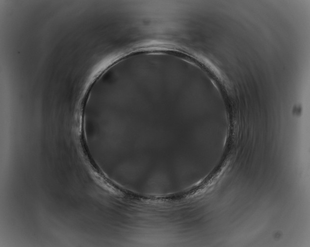 X0000100751413200806191133