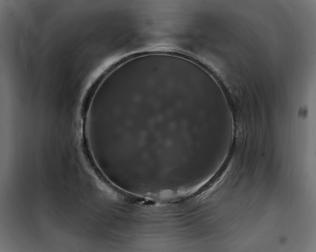 X0000100751414200806191133