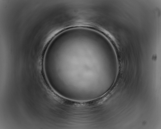 X0000100751415200806191133