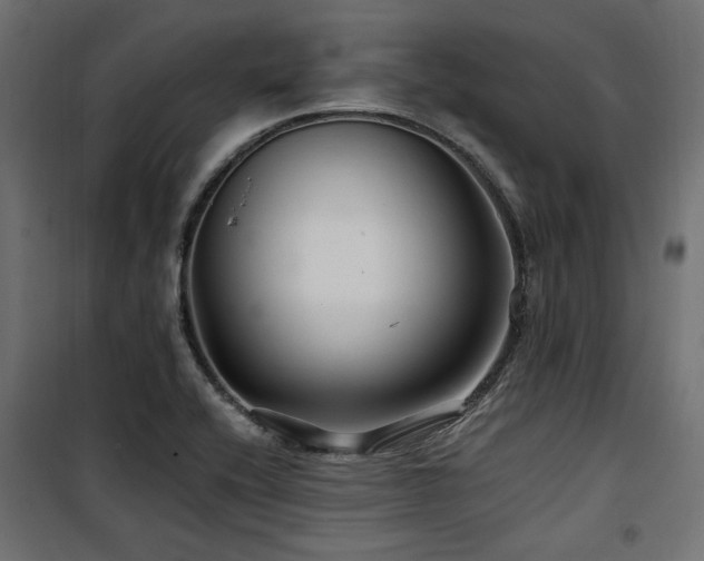 X0000100751416200806191133