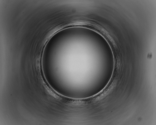 X0000100751417200806191133