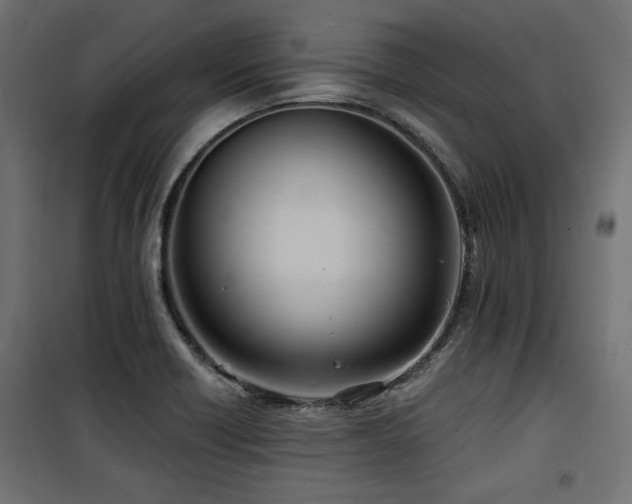 X0000100751418200806191133