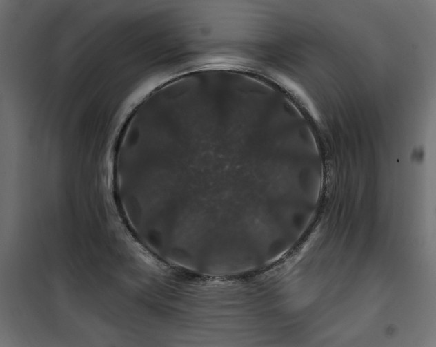 X0000100751419200806191133