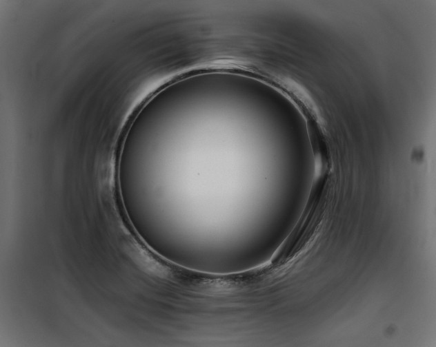 X0000100751420200806191133