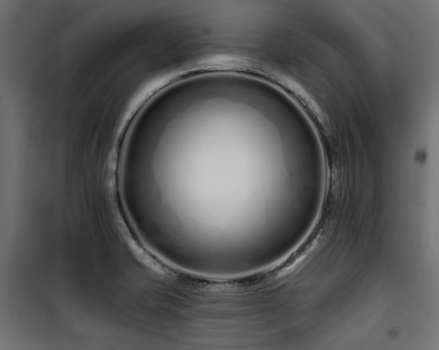 X0000100751421200806191133