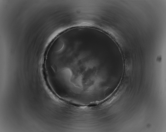 X0000100751422200806191133