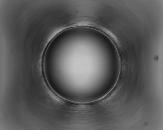 X0000100751423200806191133