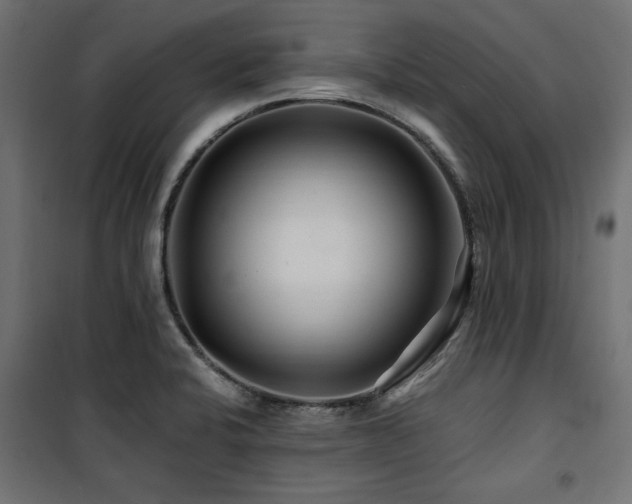 X0000100751424200806191133