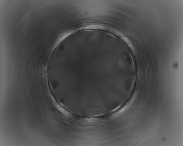 X0000100751425200806191133