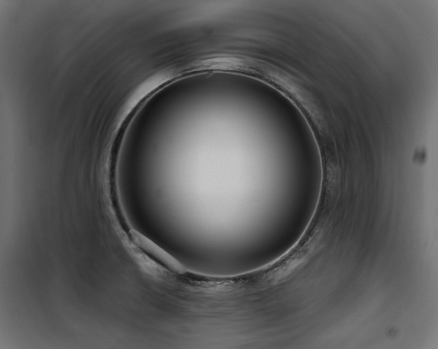 X0000100751426200806191133