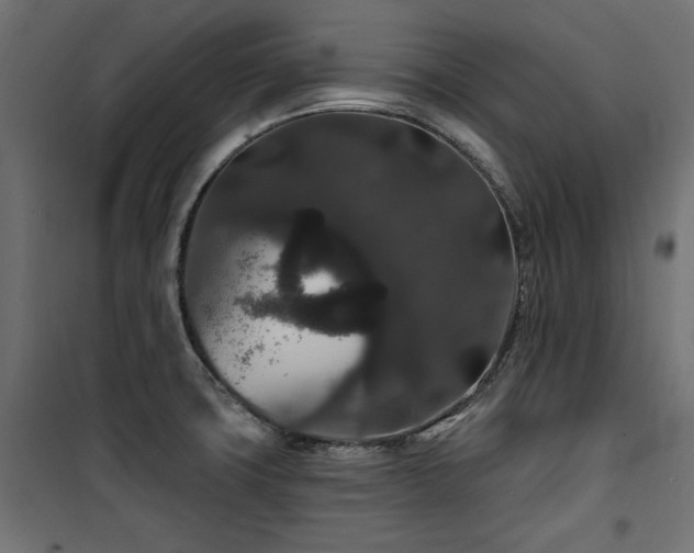 X0000100751427200806191133