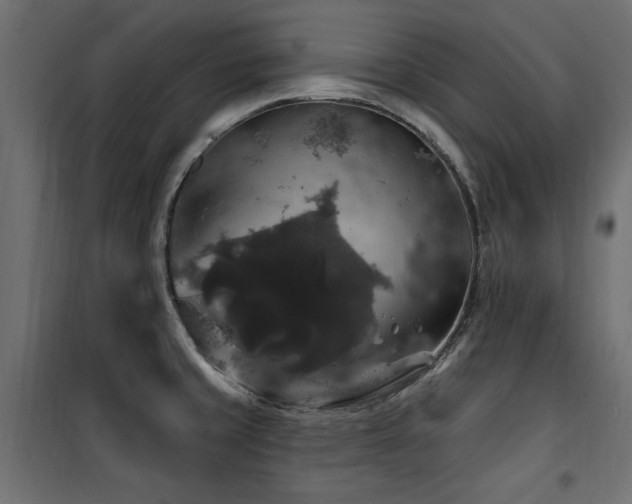 X0000100751429200806191133