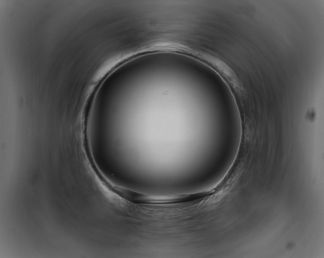 X0000100751430200806191133