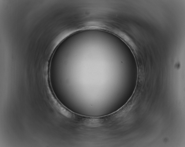 X0000100751431200806191133