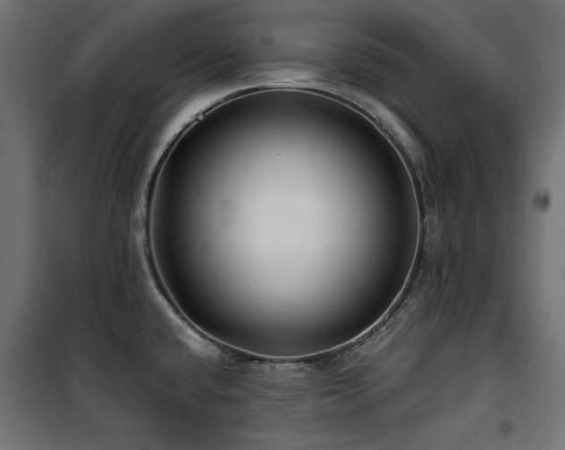 X0000100751432200806191133