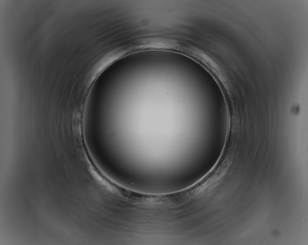 X0000100751433200806191133