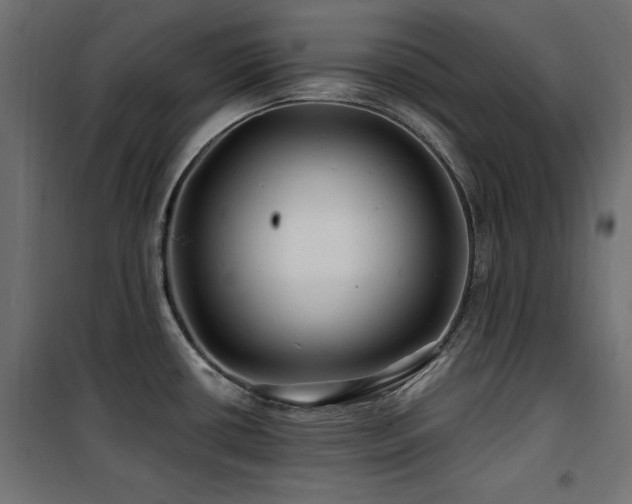 X0000100751434200806191133