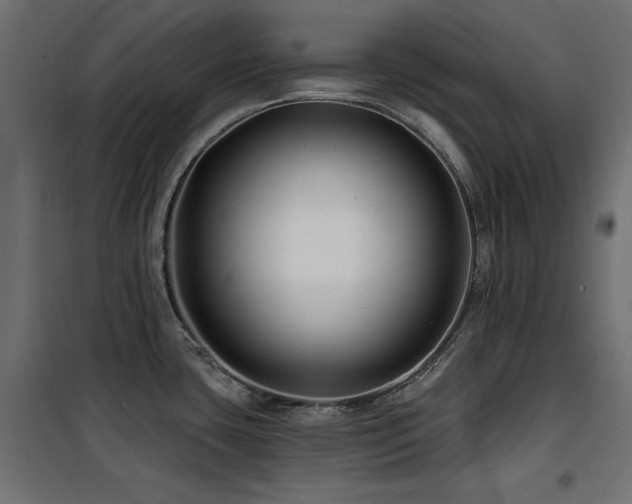 X0000100751435200806191133