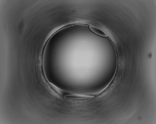 X0000100751436200806191133