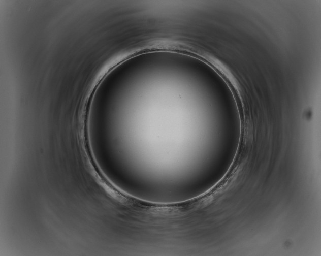 X0000100751437200806191133