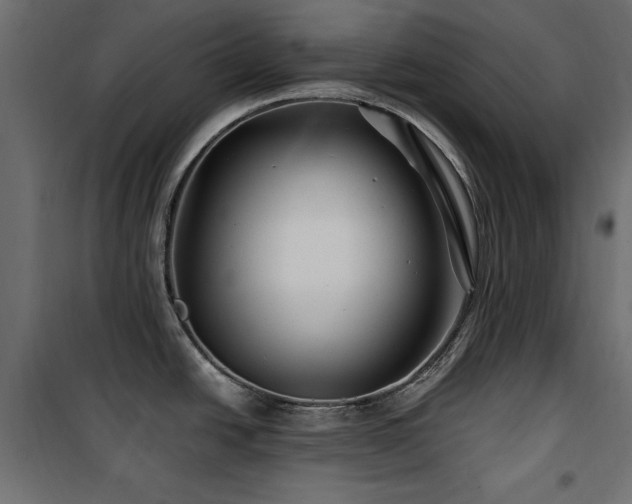 X0000100751438200806191133