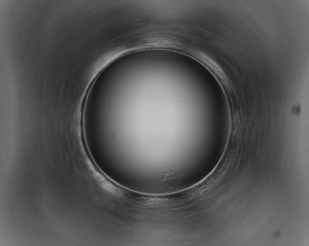 X0000100751439200806191133