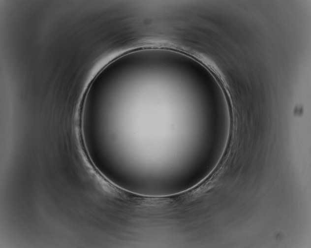 X0000100751440200806191133