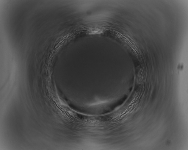 X0000100751441200806191132