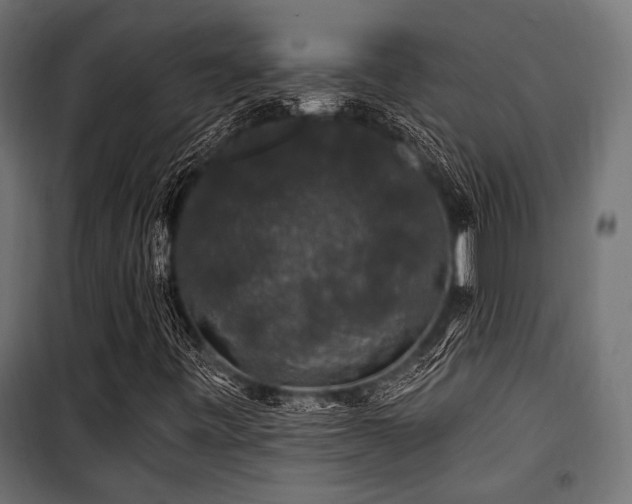 X0000100751443200806191132