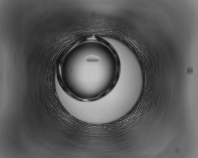 X0000100751444200806191132