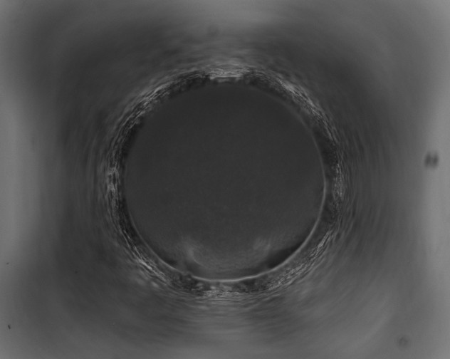 X0000100751445200806191132