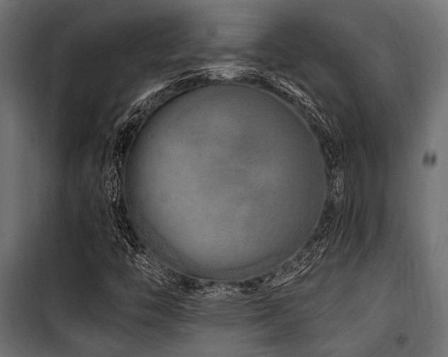 X0000100751446200806191132